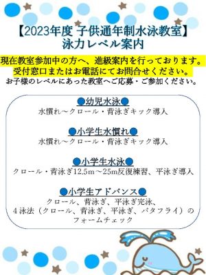 子供通年制　水泳教室のレベル】のサムネイル